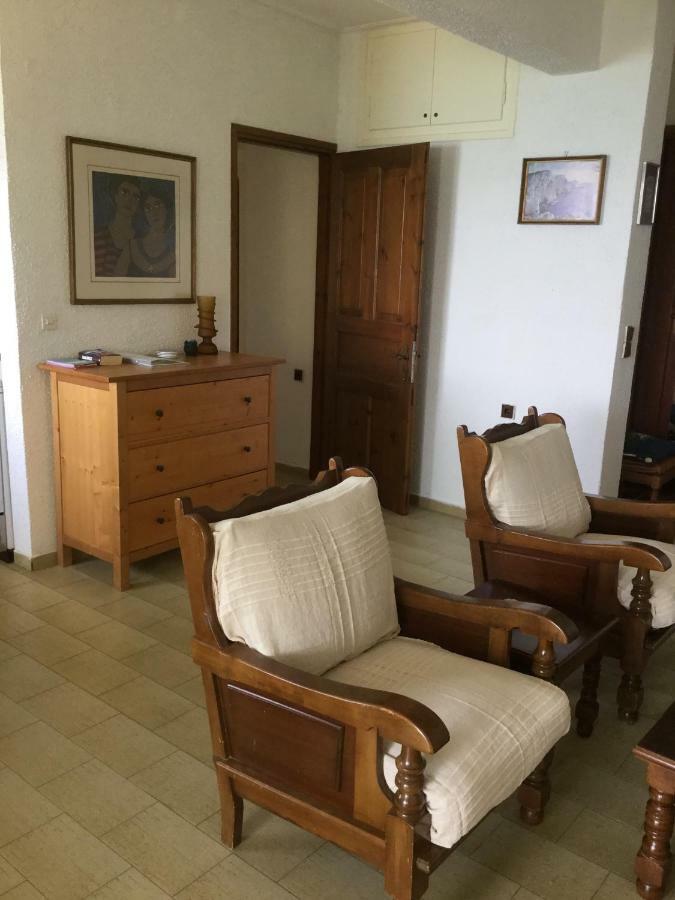 Lefkada Beachfront Apartment Nikiana Extérieur photo